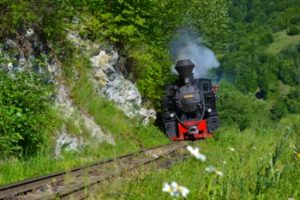 Istoria trenurilor cu abur Mocănița de pe Valea Vaserului!