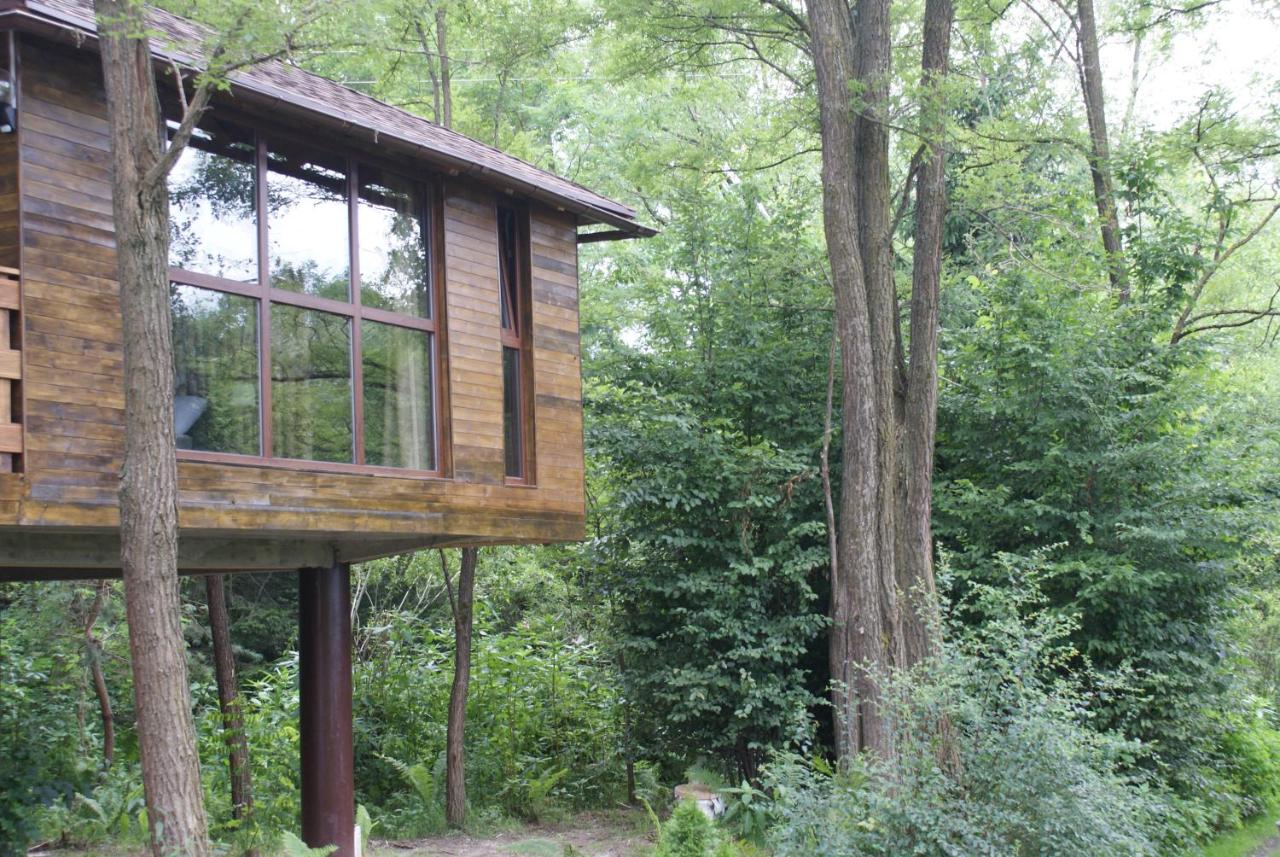 Porumbacu Treehouse by Perfect Tour Porumbacu Treehouse by Perfect Tour