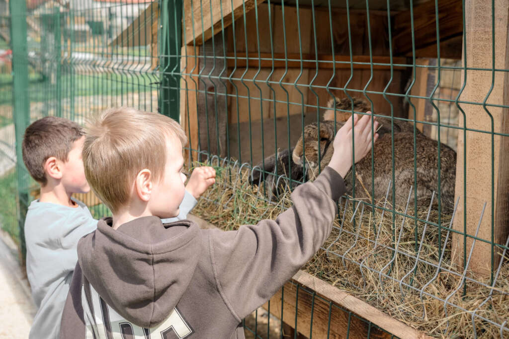Zoolandia – aventura perfectă pentru iubitorii de animale și natură zoolandia